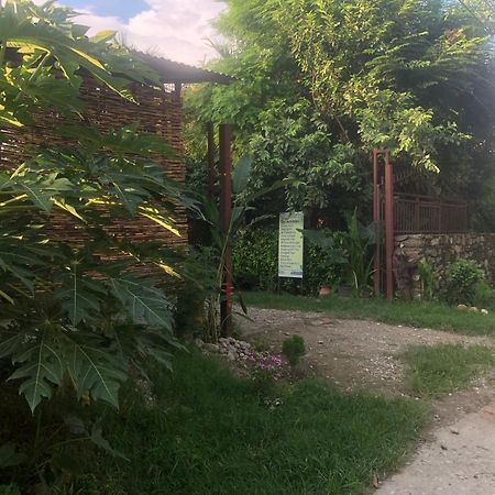 Tara Guesthouse - Sauraha,Chitwan Exterior photo