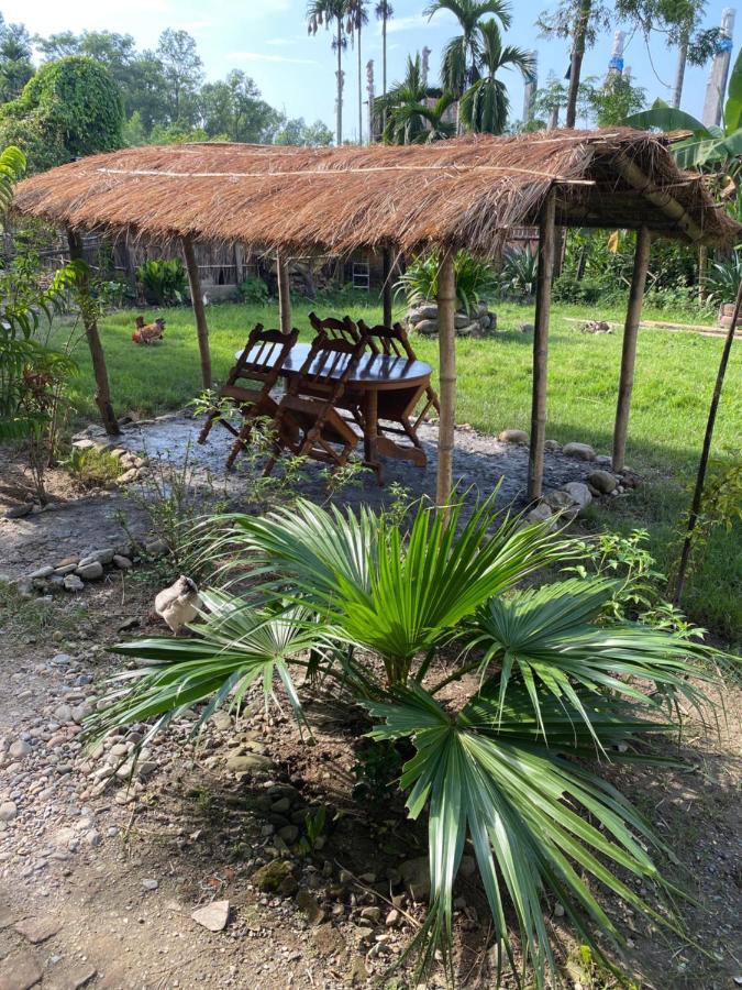 Tara Guesthouse - Sauraha,Chitwan Exterior photo