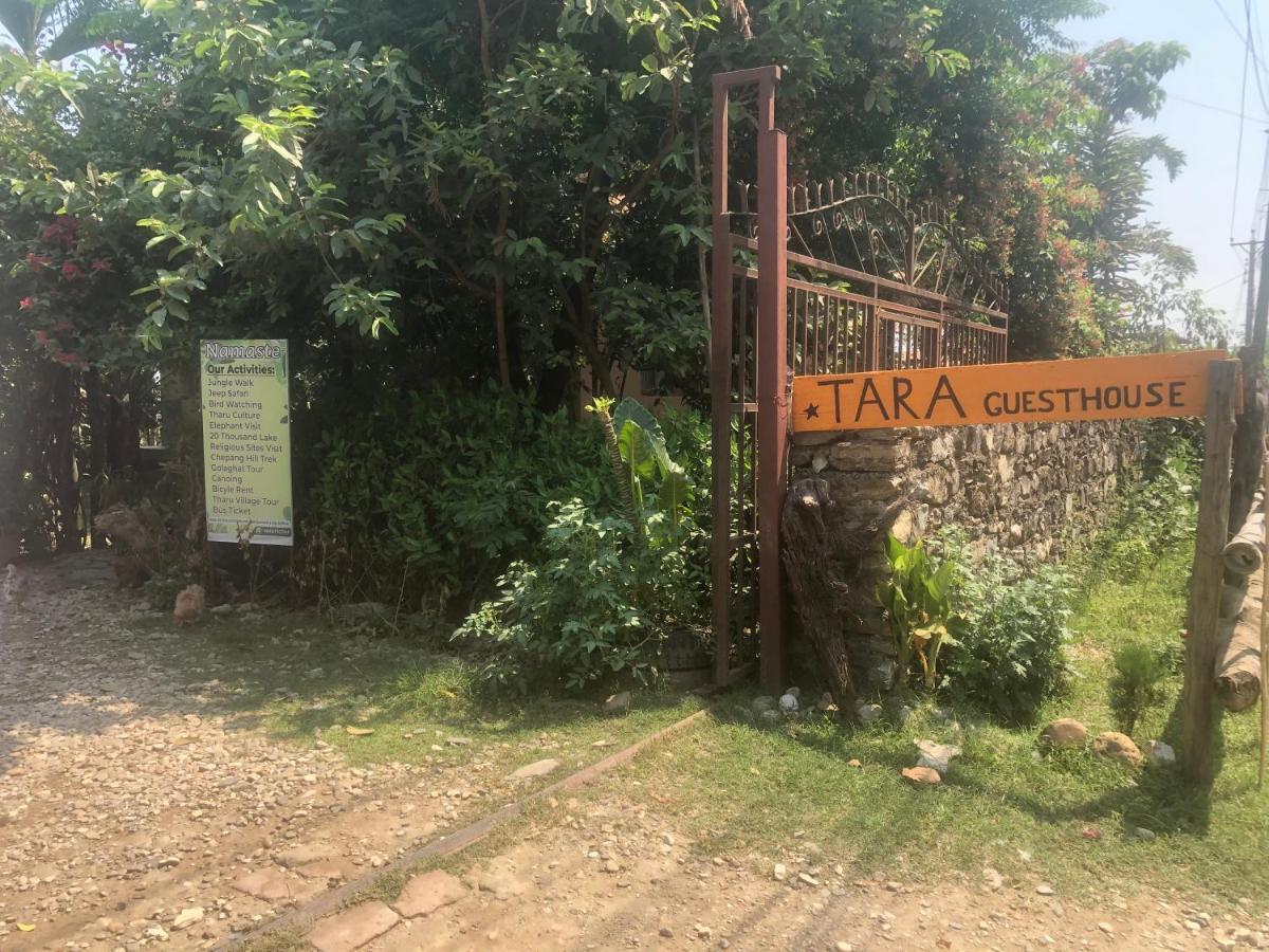 Tara Guesthouse - Sauraha,Chitwan Exterior photo