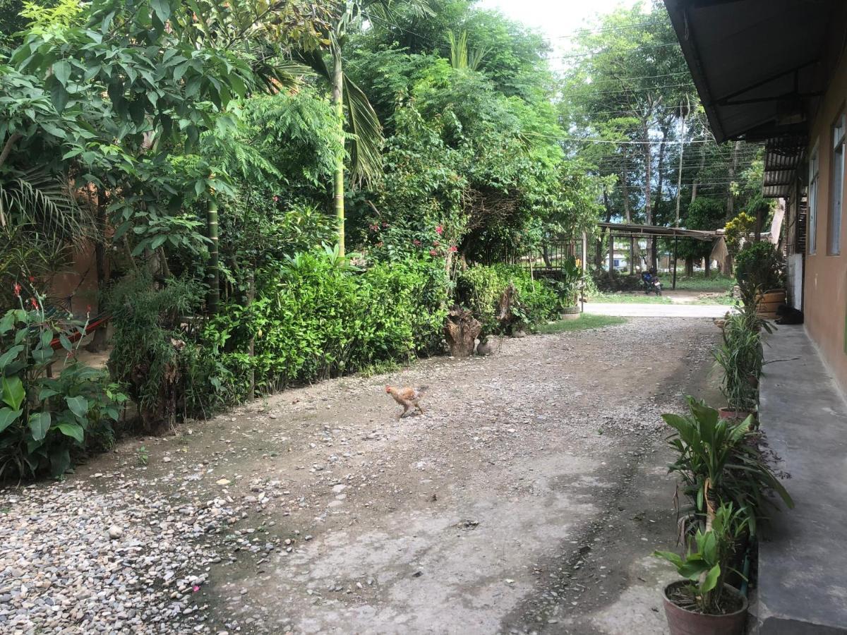 Tara Guesthouse - Sauraha,Chitwan Exterior photo