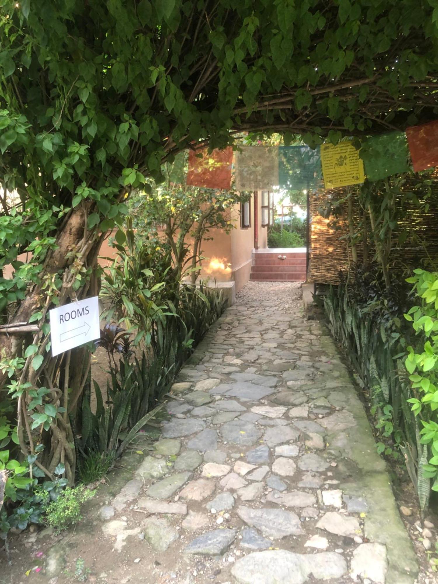 Tara Guesthouse - Sauraha,Chitwan Exterior photo